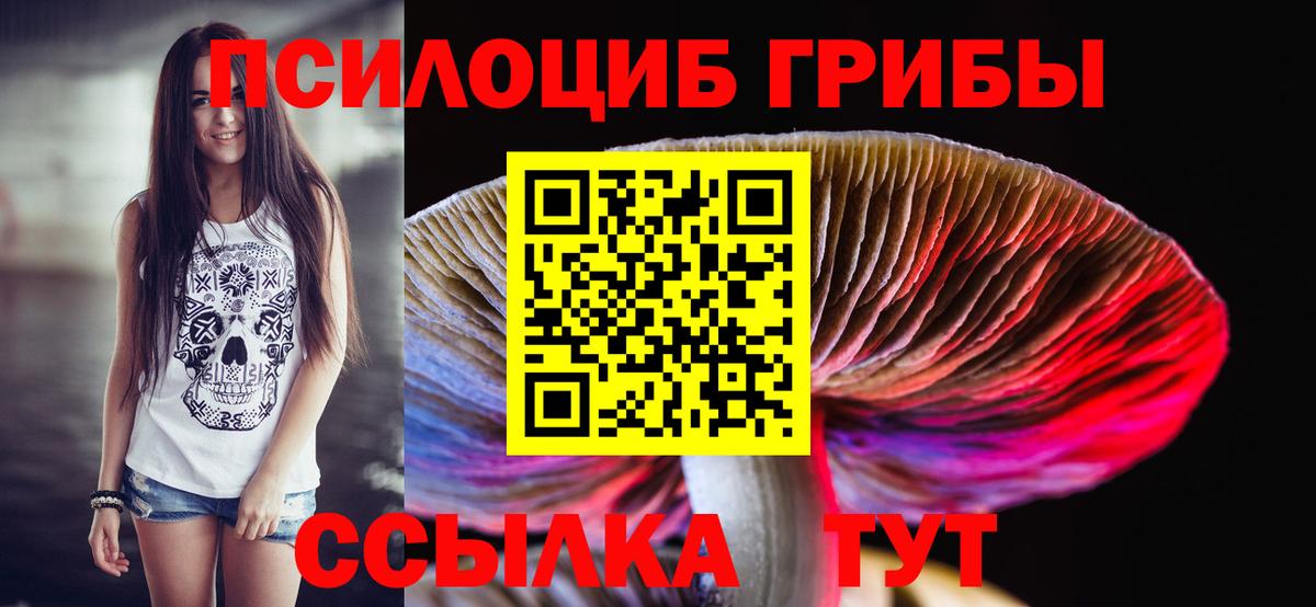 Избербаш  Псилоцибиновые грибы прущие грибы  цены наркотик  Вход с VPN 